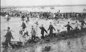 1483523621190897YEaB.png 未標題-16.png